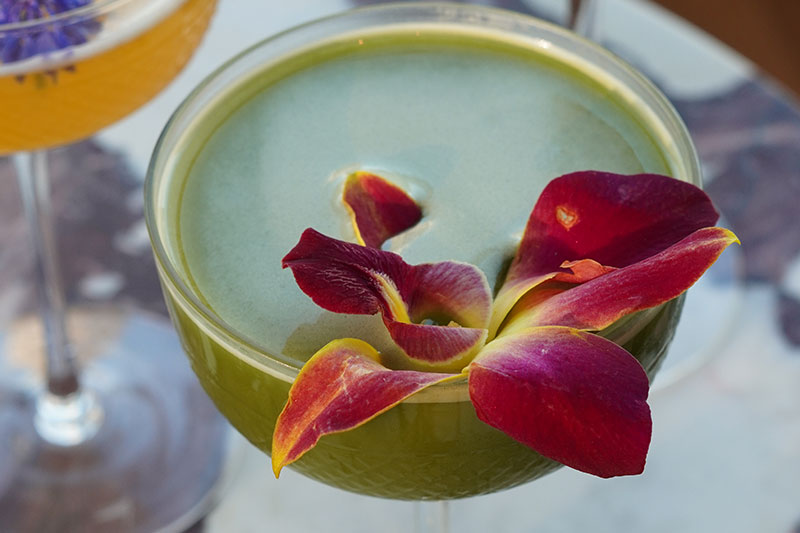 Astrea cocktail with flower